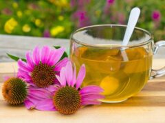 Echinacea flowers next to a cup of tea made from them