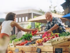 A woman buying tomatoes from an organic farmer